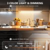 NEEWER Under Cabinet Lights, 10 LED Motion Sensor Closet Lights, Wireless - 4 Pack