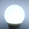NEEWER 3pcs 60W Equivalent E26 E27 A19 LED Light 12-24V Globe RV/Boat Bulb Daylight