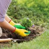 NEEWER Gardening Gloves  Safety Protective Garden Work Latex Coated Ladies Men